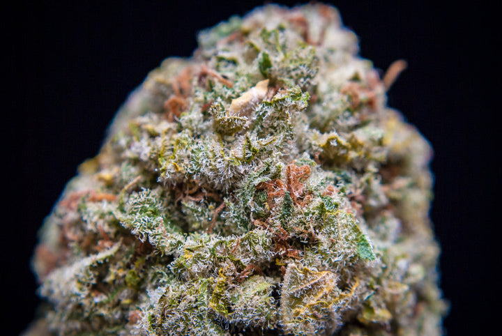 THCa vs. THC: Which is Stronger?