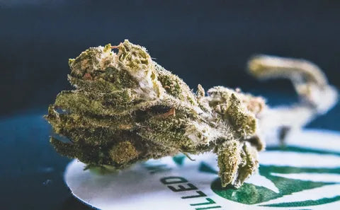 What are Cannabinoids