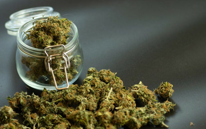 The Best THCA Flower Strain Review
