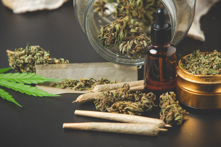THCA vs THC? What’s The Difference?