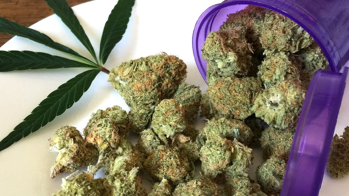 Indica vs. Sativa vs. Hybrid: What’s The Difference?