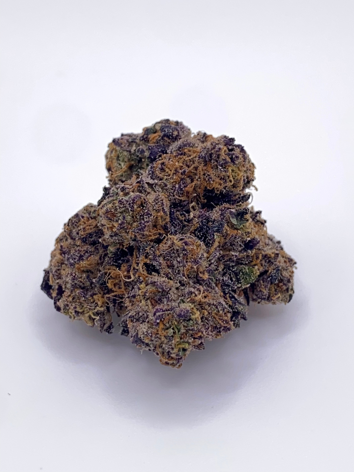Jungle Gelato