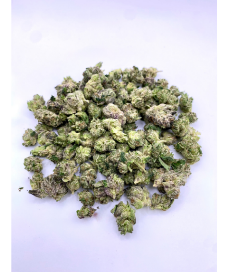 Jungle Gelato Smalls